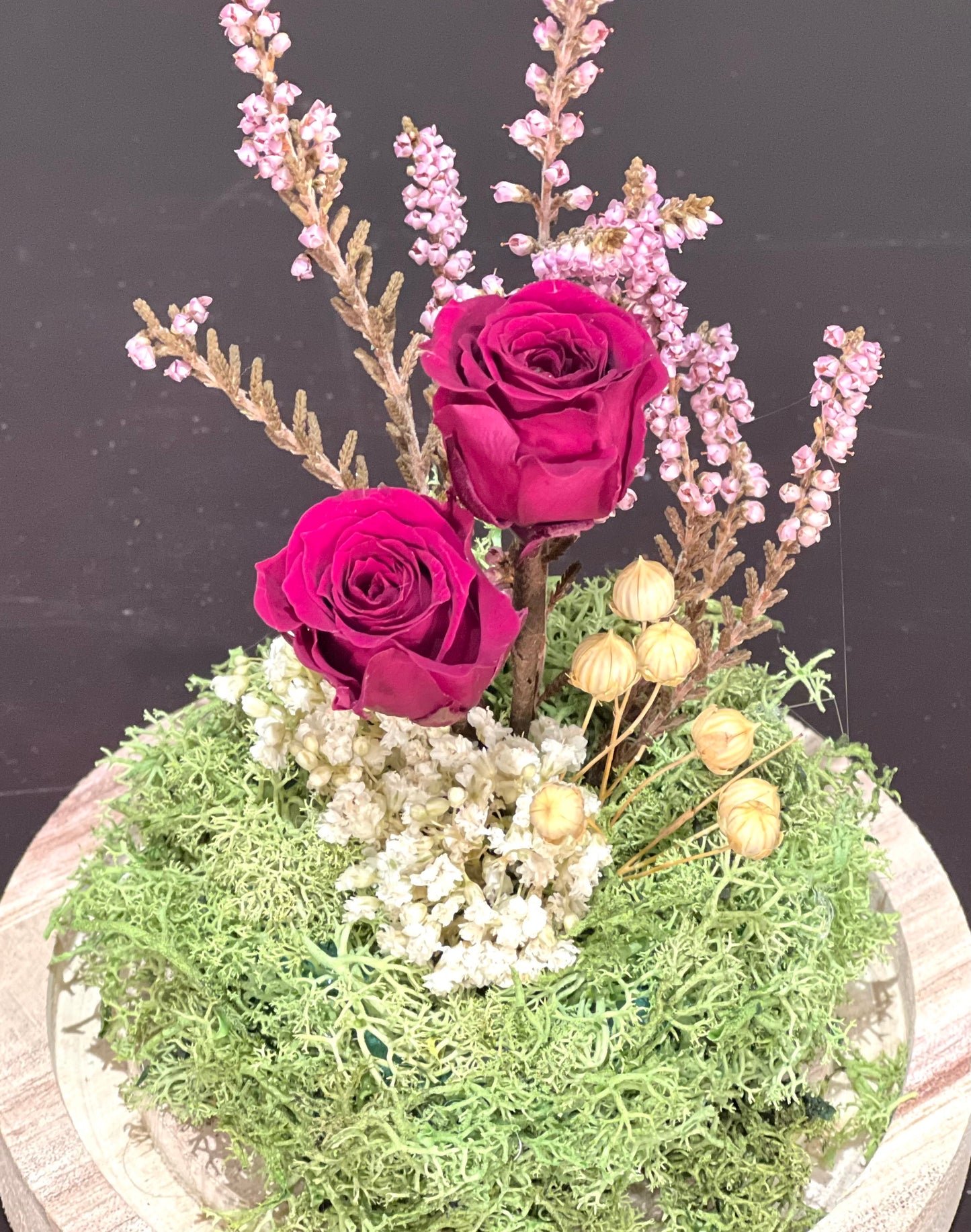 Cupula Burgundy rosas