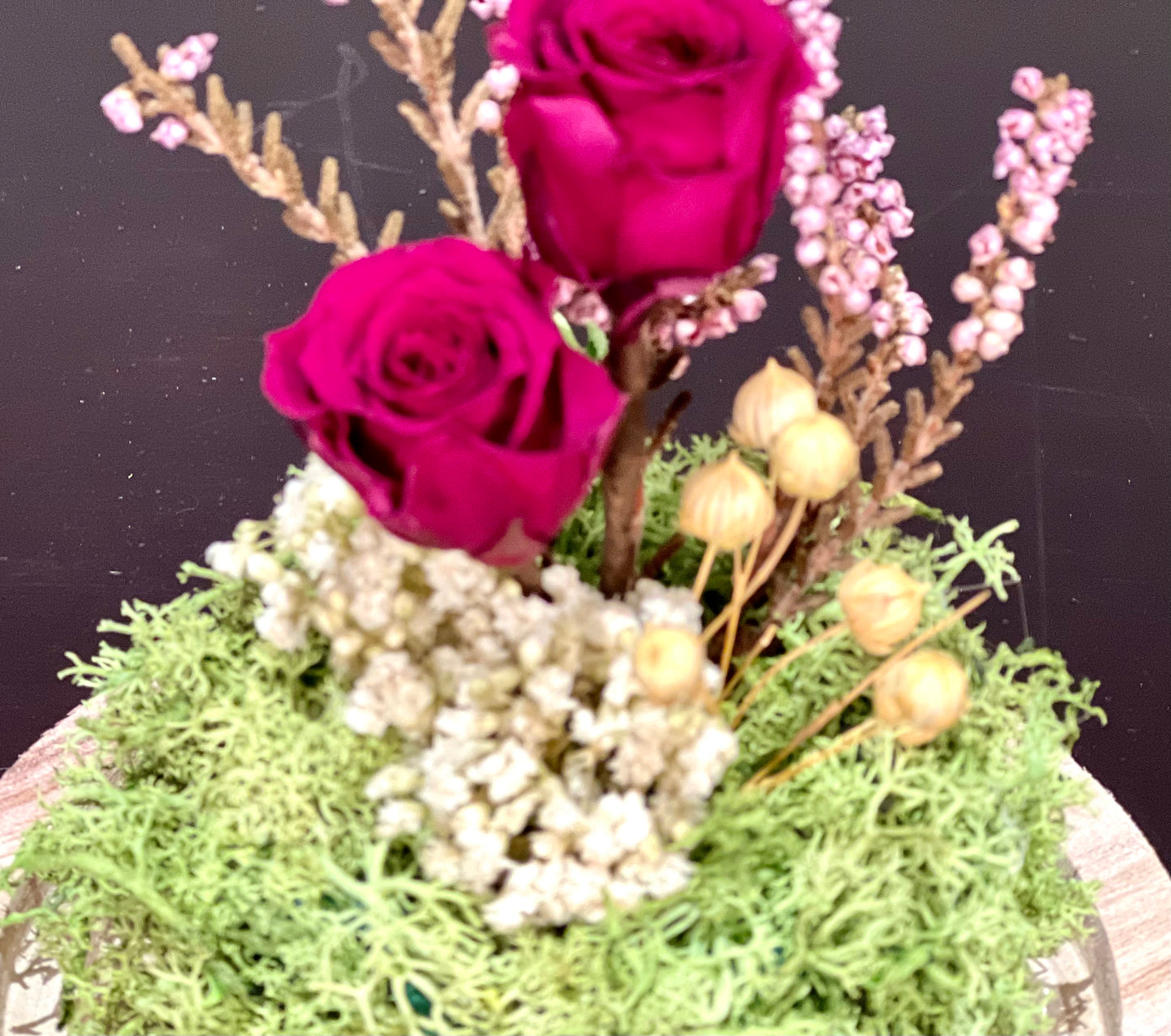 Cupula Burgundy rosas