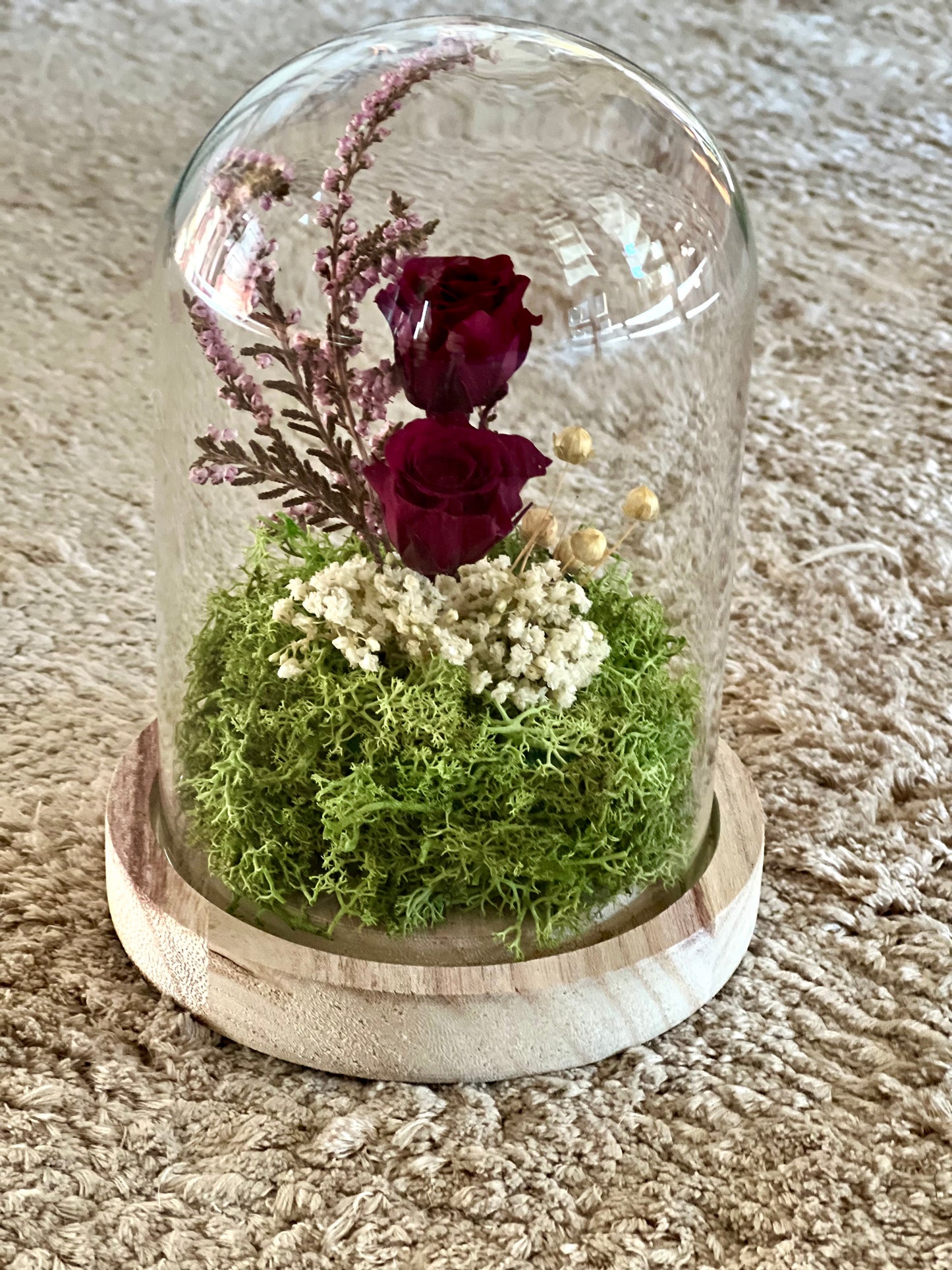 Cupula Burgundy rosas