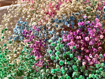 Ramo Arco Iris